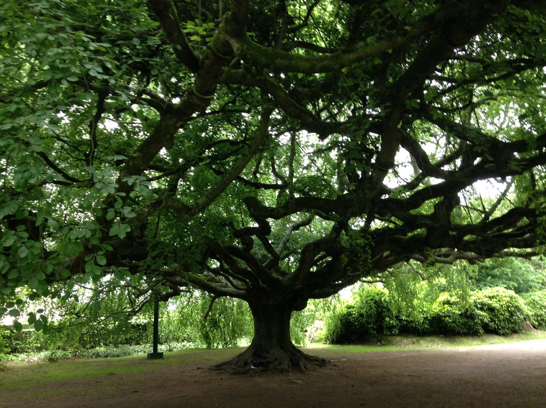 Jardin Public de Bayeux景点图片