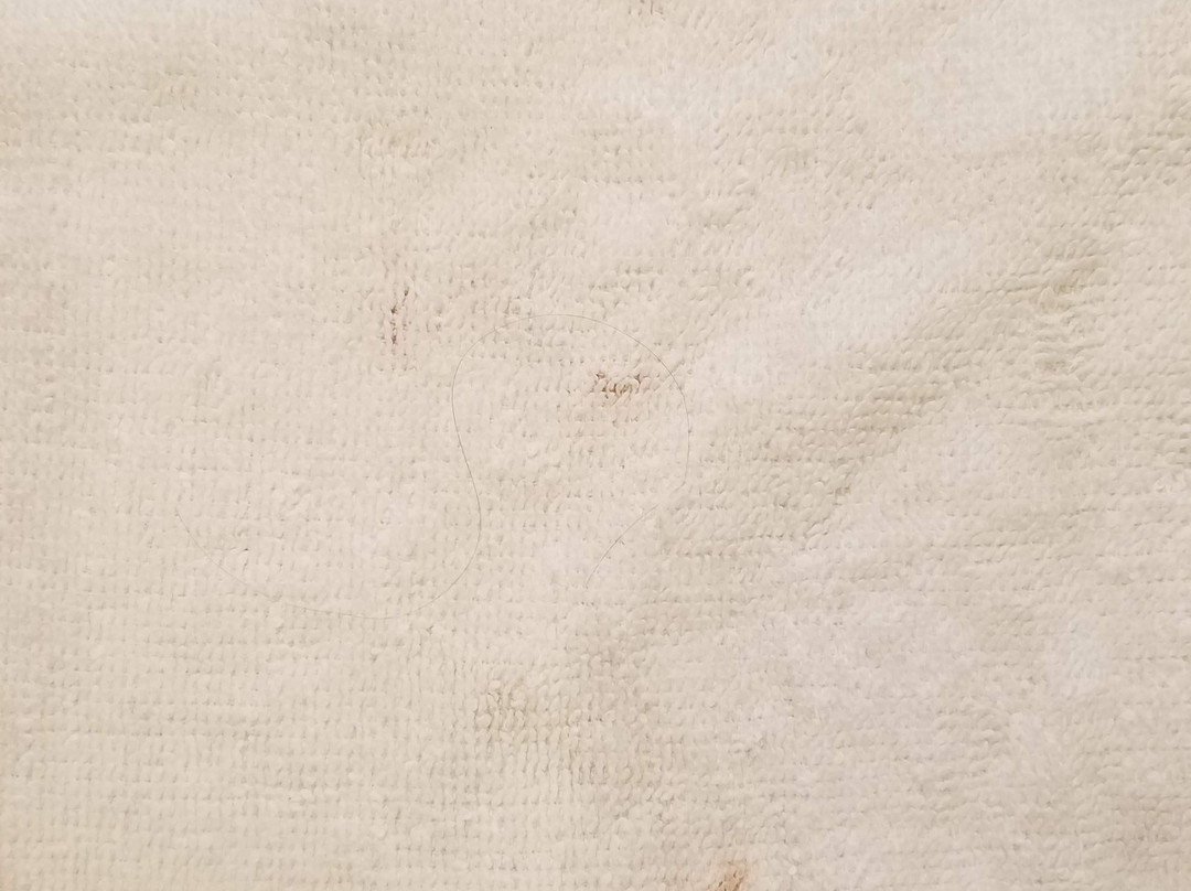 Home2 Suites by Hilton Murfreesboro主图