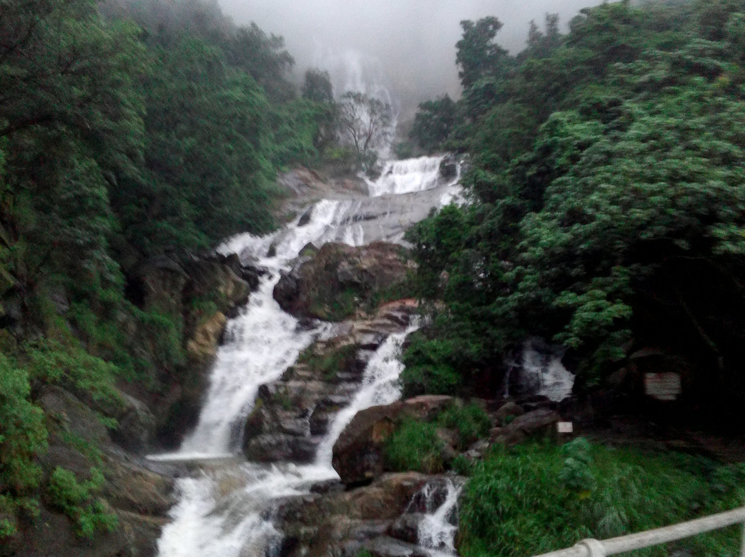 Leisure Lanka Tours景点图片