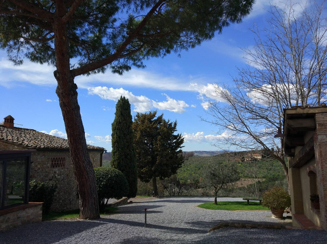 Salvadonica - Borgo Agrituristico del Chianti主图
