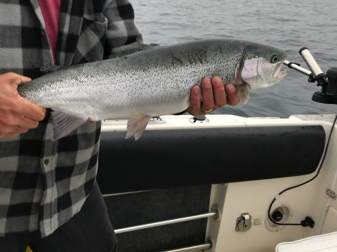 Manitoulin Sport Fishing Charters景点图片