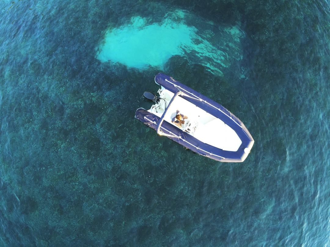Beaulieu Marine景点图片