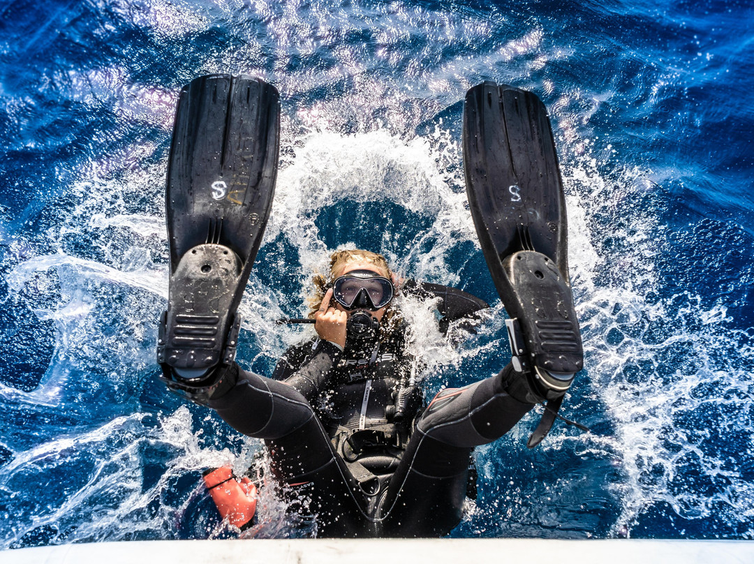 Blue Ocean Dive Centers & Resorts / Hurghada