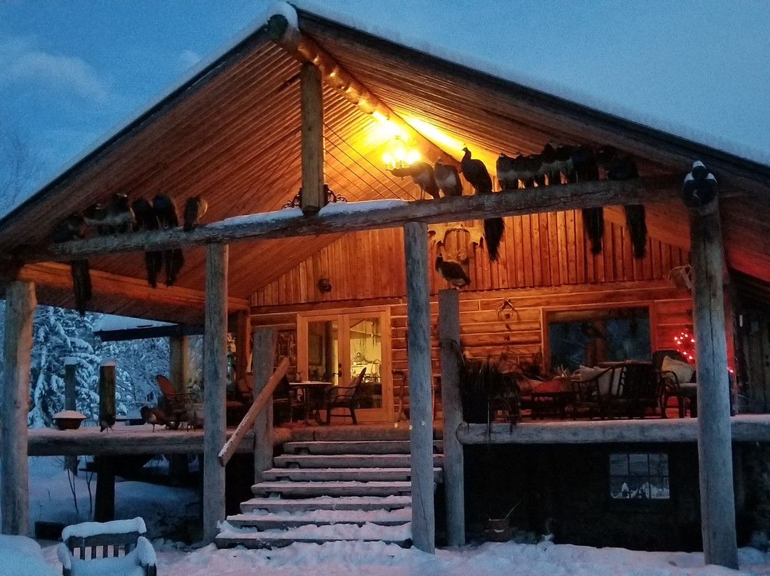 Old Cowboy Ranch