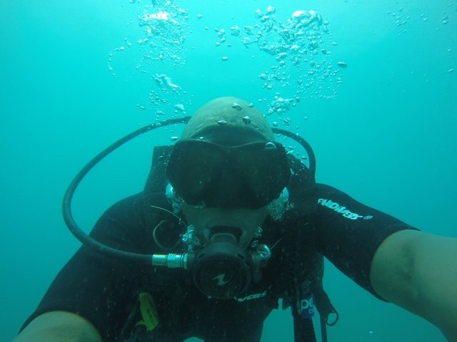 Davy Jones Locker Diving景点图片