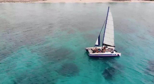 Super Cats-布里奇顿必去景点