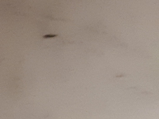 Kerry Coast Hotel主图