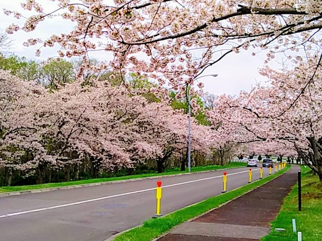 Toda Memorial Park Cemetery-石狩市必去景点