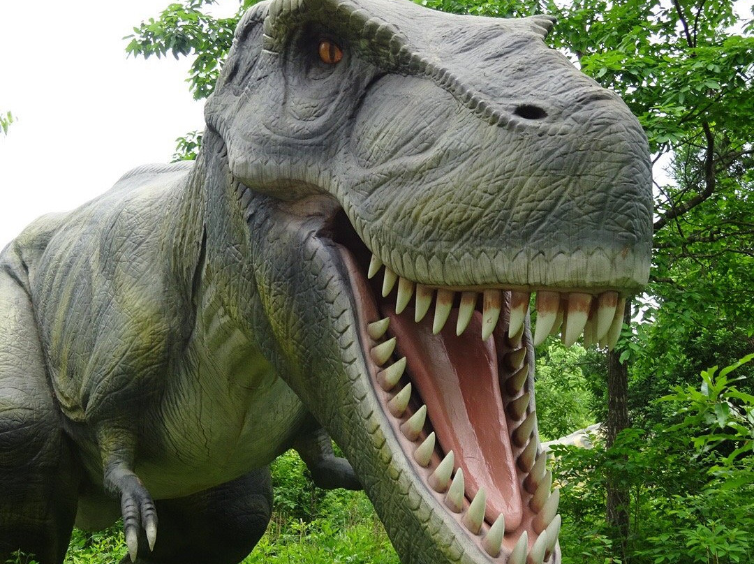 Katsuyama Dino Park景点图片