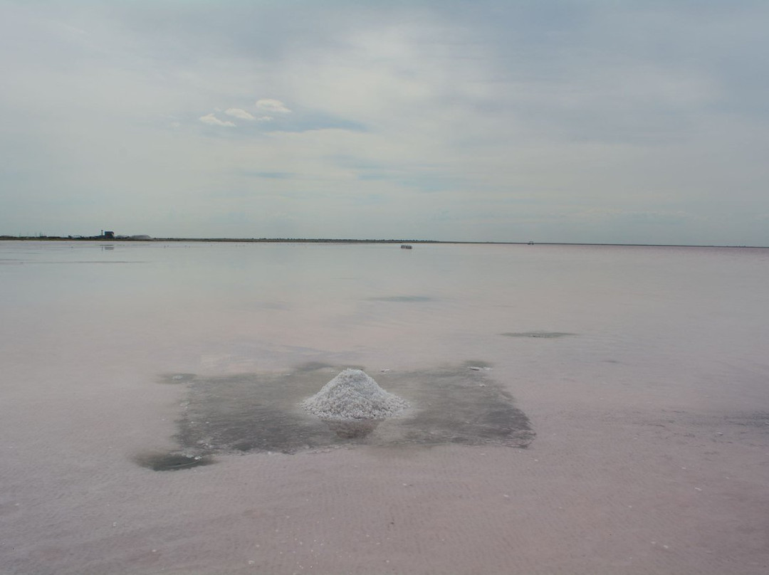 Burlinskoye Lake景点图片