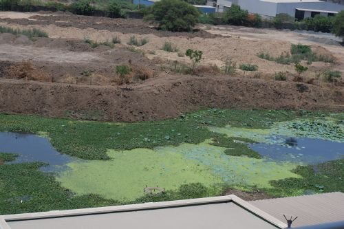 Courtyard by Marriott Surat主图