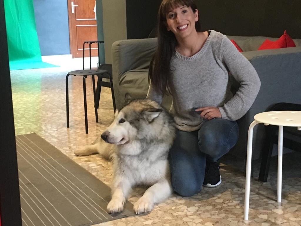 Project X Escape Rooms-哈韦阿必去景点