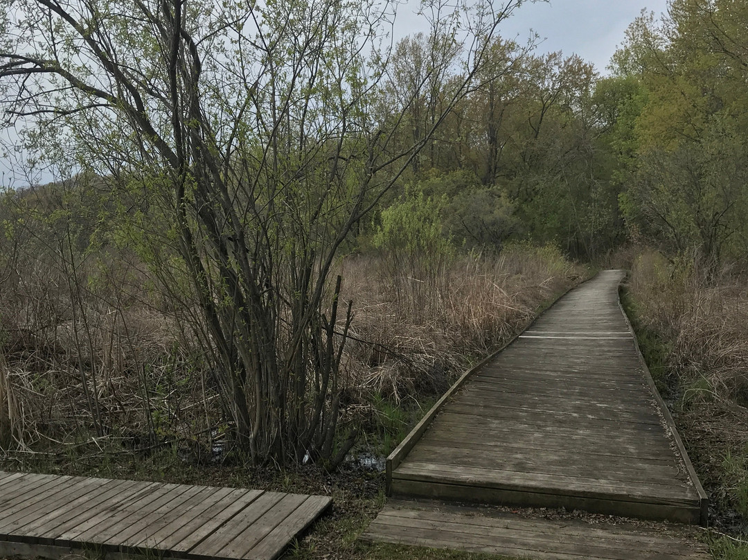 Tamarack Nature Preserve景点图片