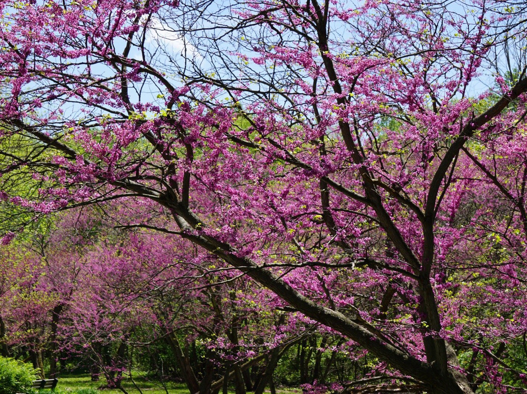 Lower Huron Metropark-Belleville必去景点