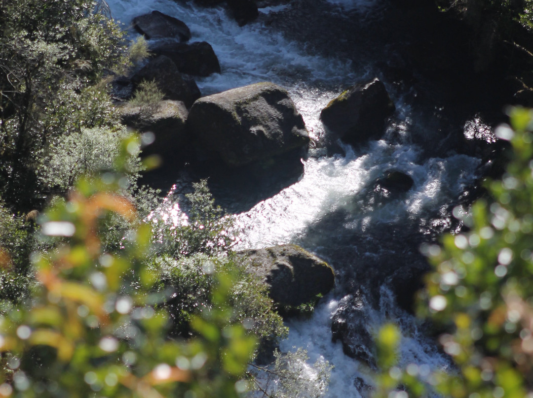 Waipunga Falls景点图片