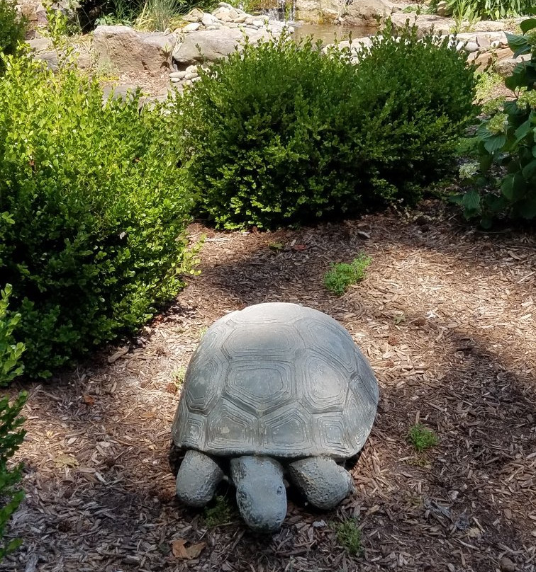 Wilson Botanical Gardens景点图片