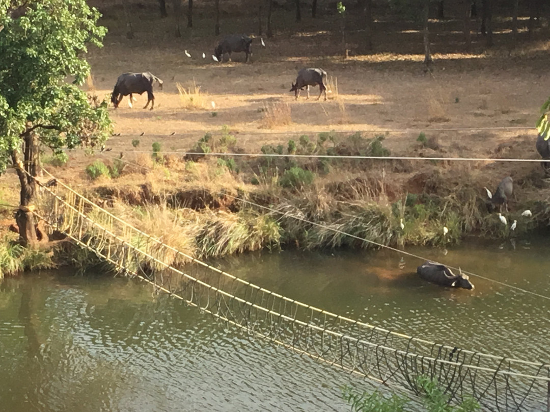 Kyriad Prestige Riverside Amba Ghat主图