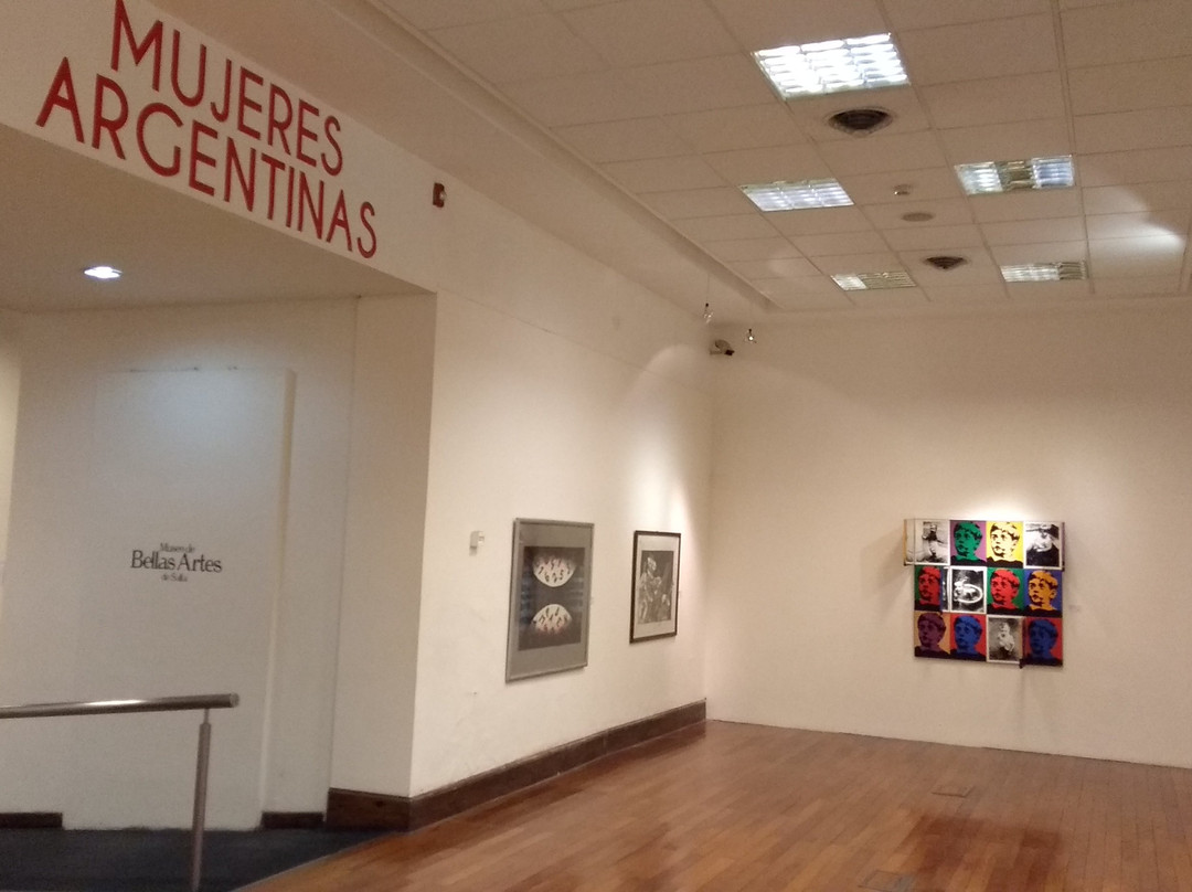 Museo Provincial de Bellas Artes de Salta景点图片