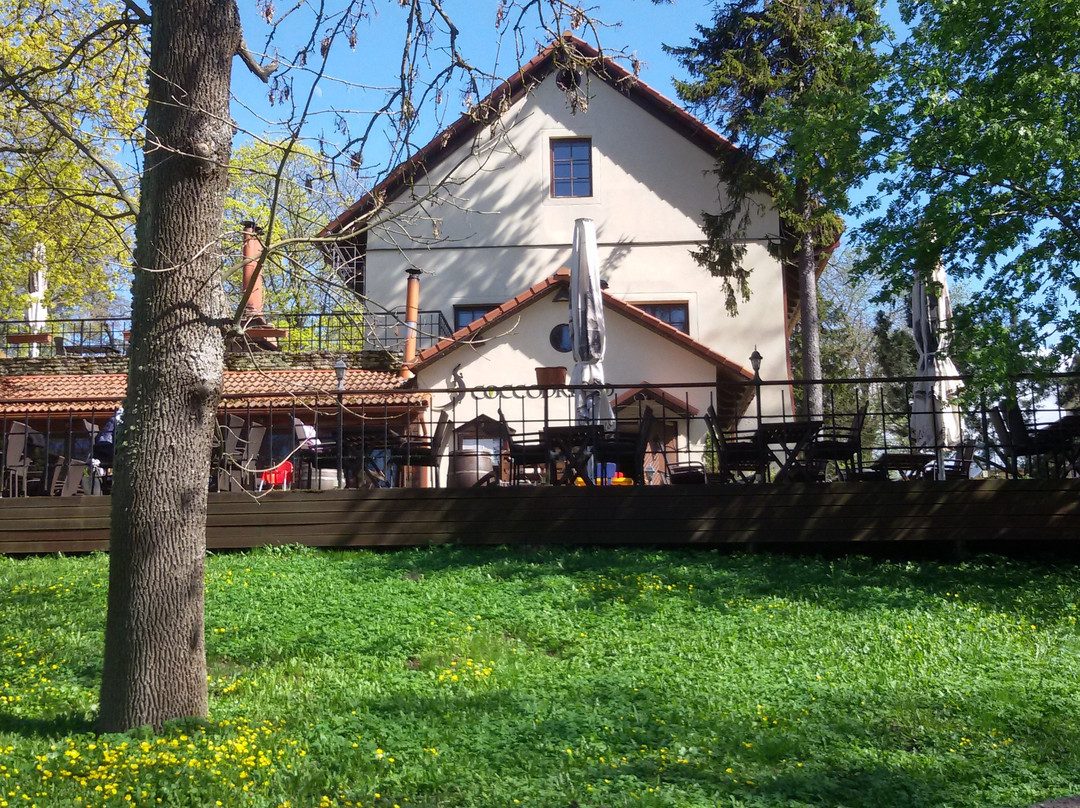 Viimsi Manor Guesthouse Birgitta主图