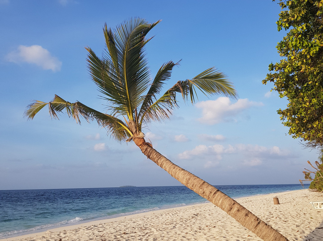 Blue World Dharavandhoo主图