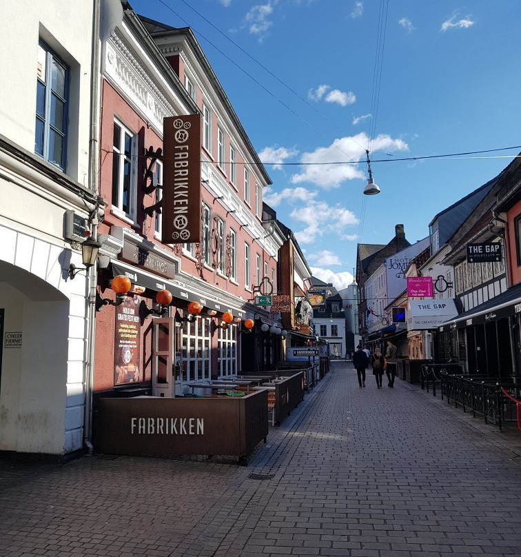 Jomfru Ane Gade-奥尔堡必去景点