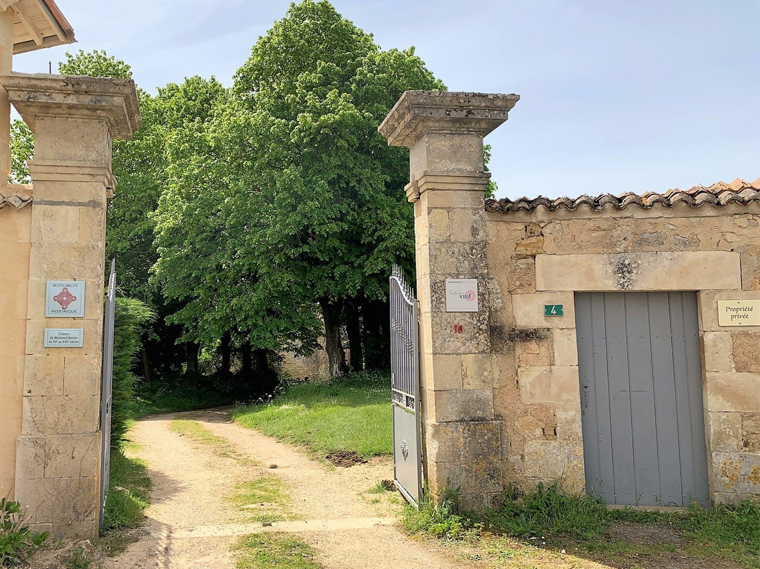 Château de Montreuil Bonnin景点图片