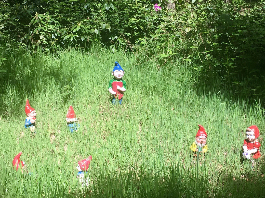 Gnome Magic Garden景点图片