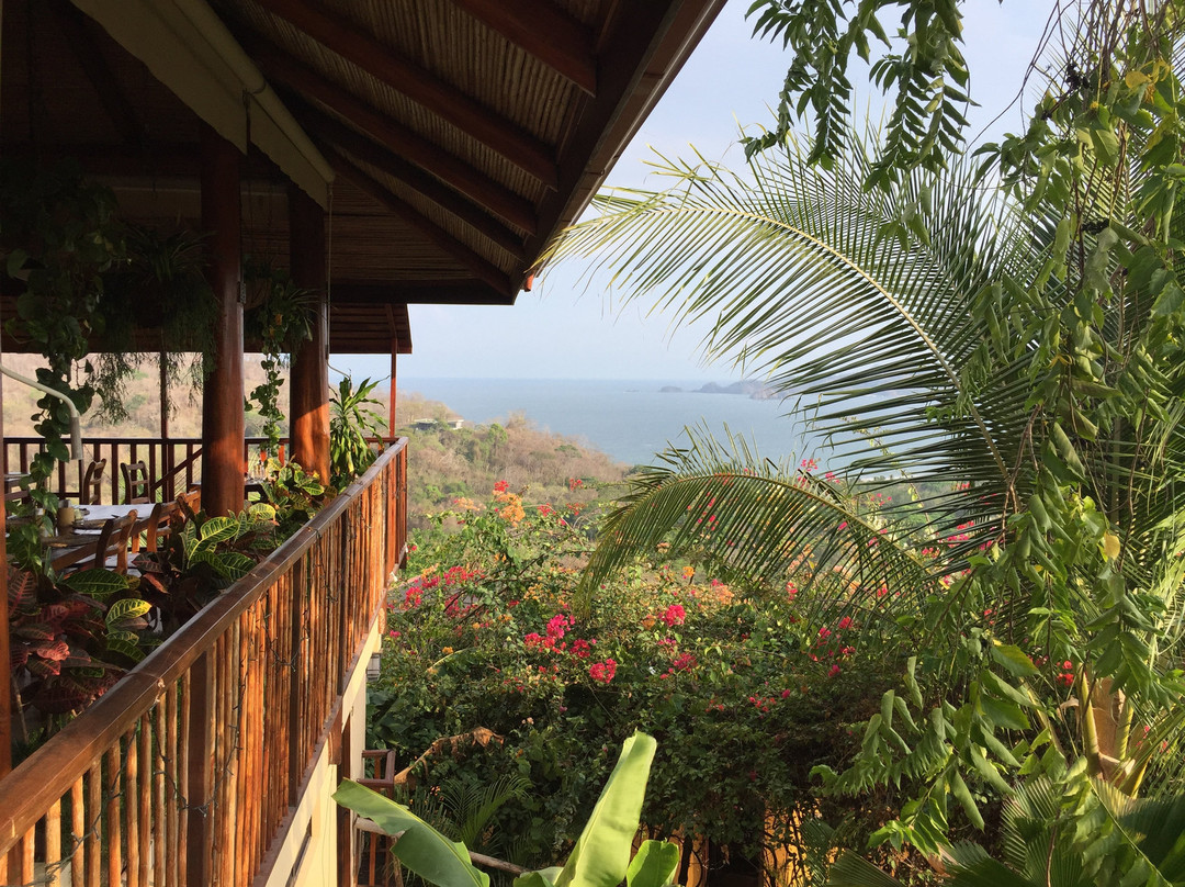 Vista Las Islas Hotel主图