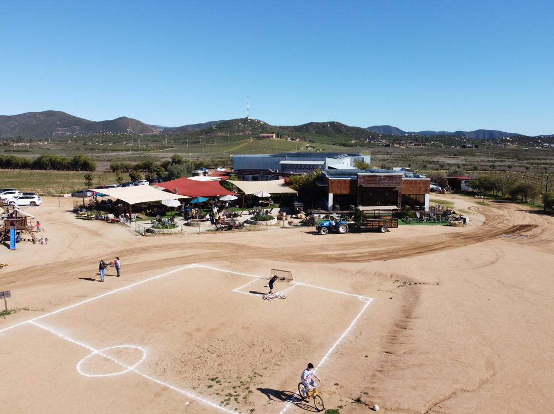 Valle de Guadalupe旅游攻略图片