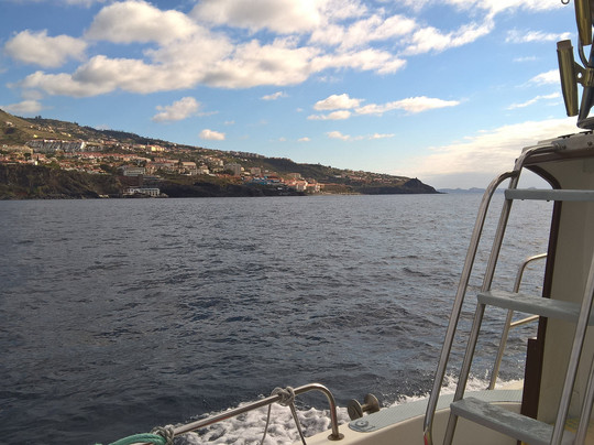 Madeira Sport Fishing-沙尔必去景点