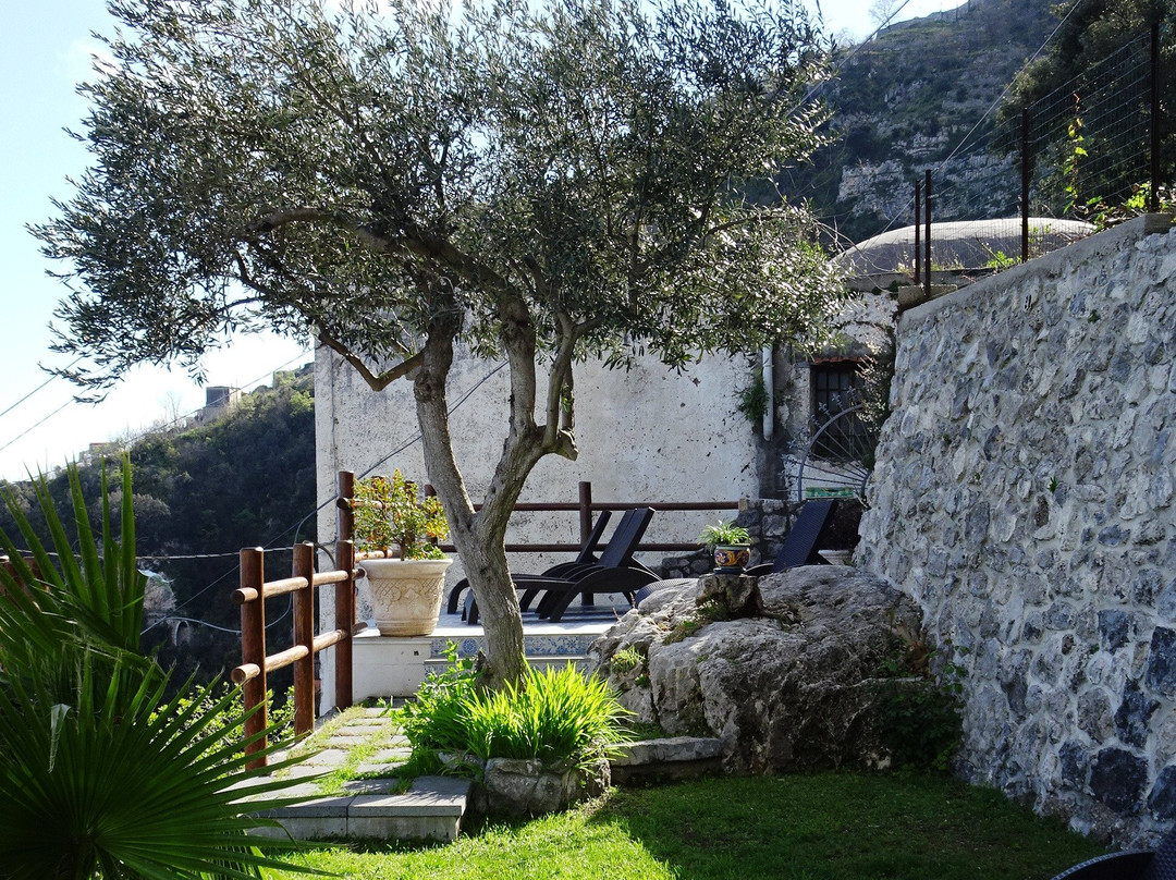 World Center Resort主图