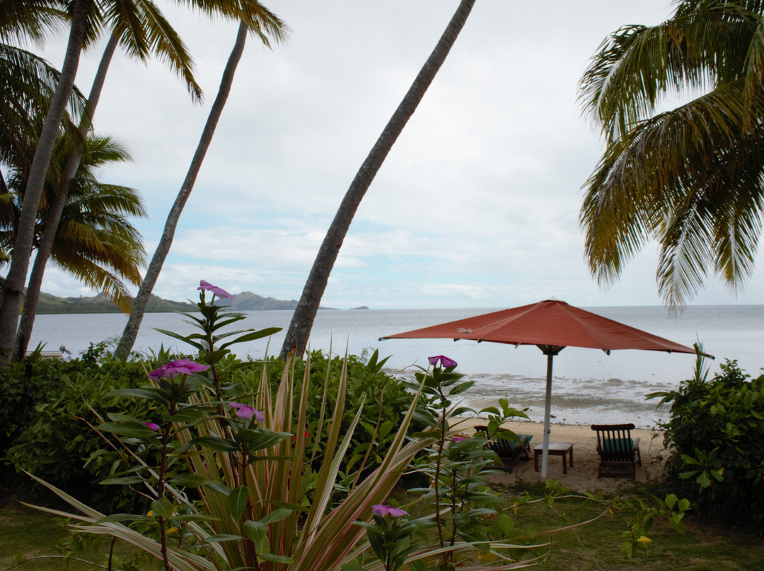 Nukubati Great Sea Reef主图