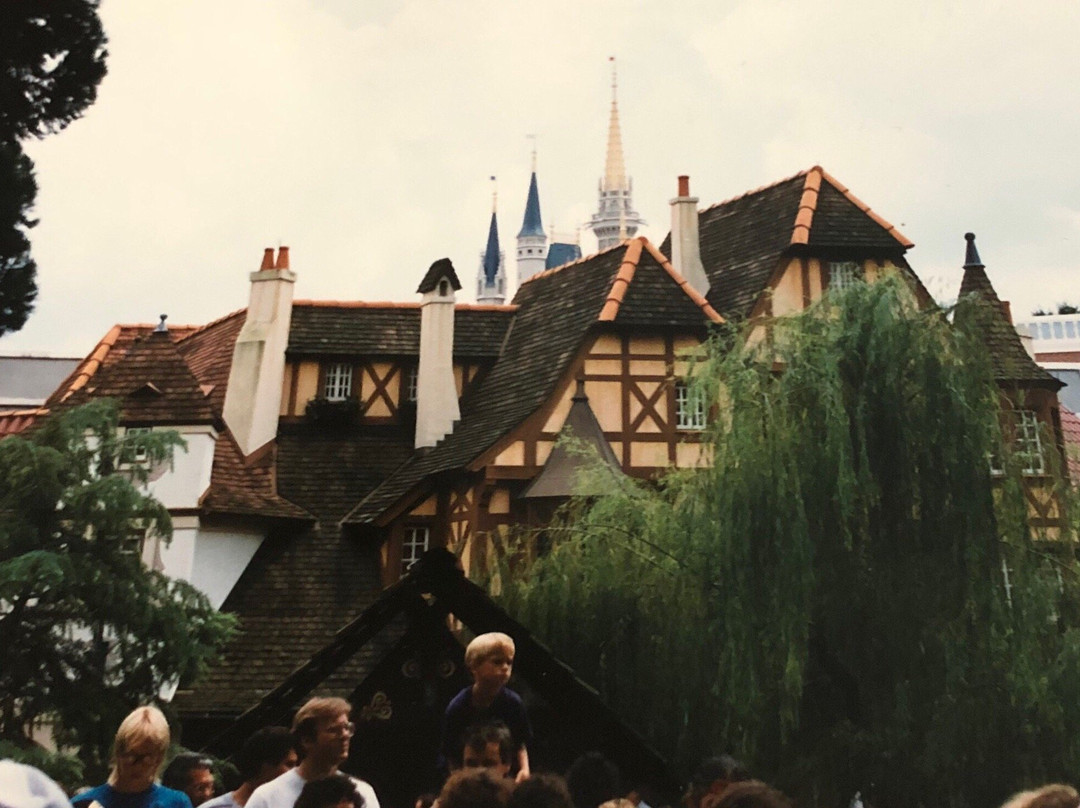 Disney Private Vip Tours-奥兰多必去景点