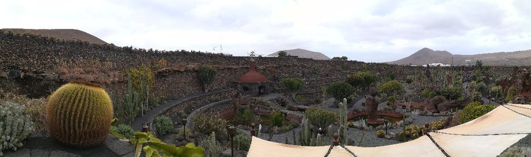 Jardin de Cactus景点图片