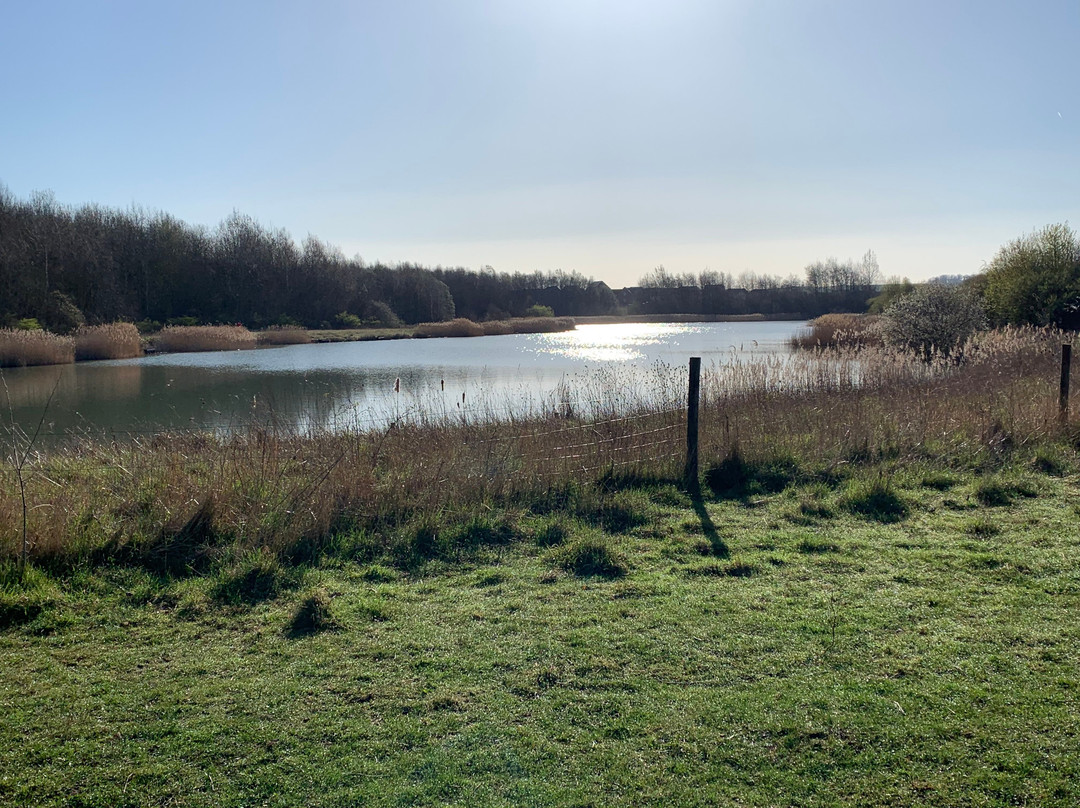 Cotgrave Country Park景点图片