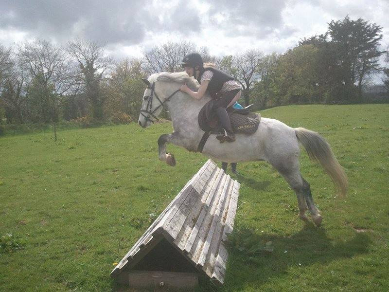 Lee Valley Equestrian Centre景点图片