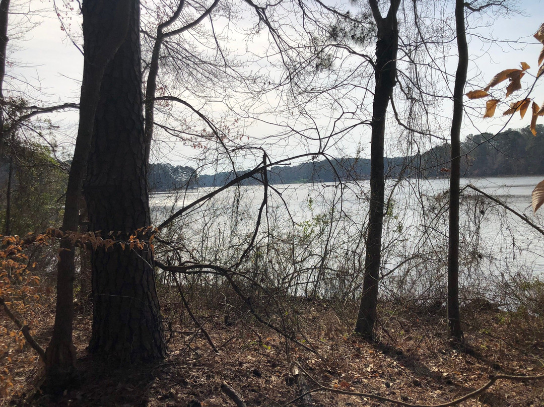 Lake Benson Park-Garner必去景点