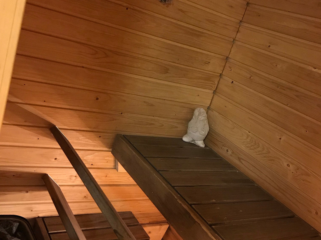 欧若拉圣诞酒店主图