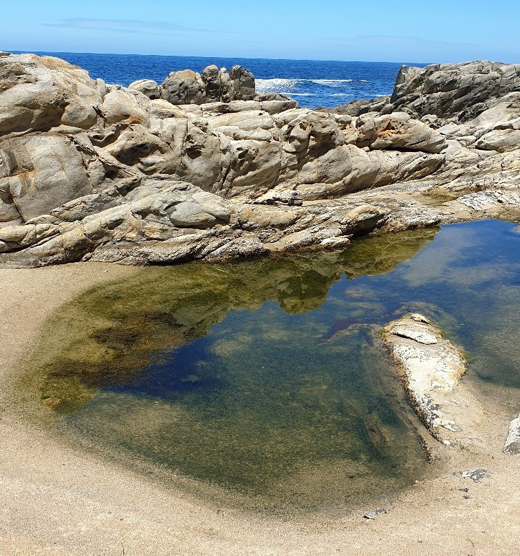The Dolphin Trail-暴风河必去景点