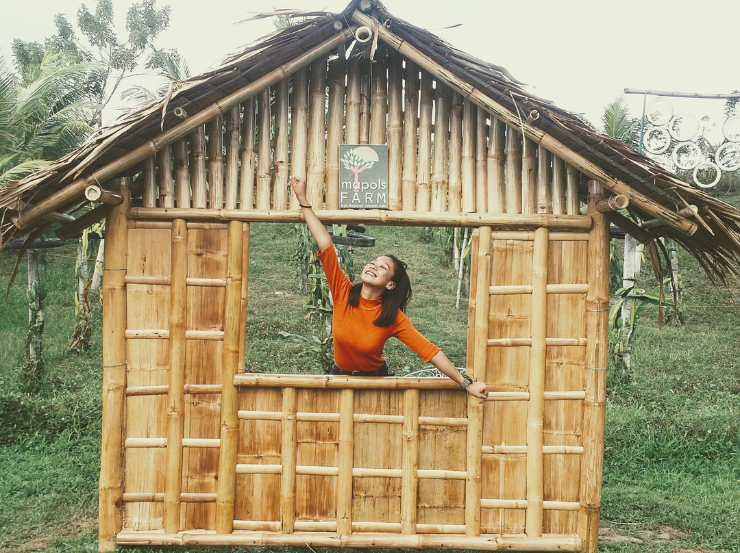 Mapols Farm-Pototan必去景点