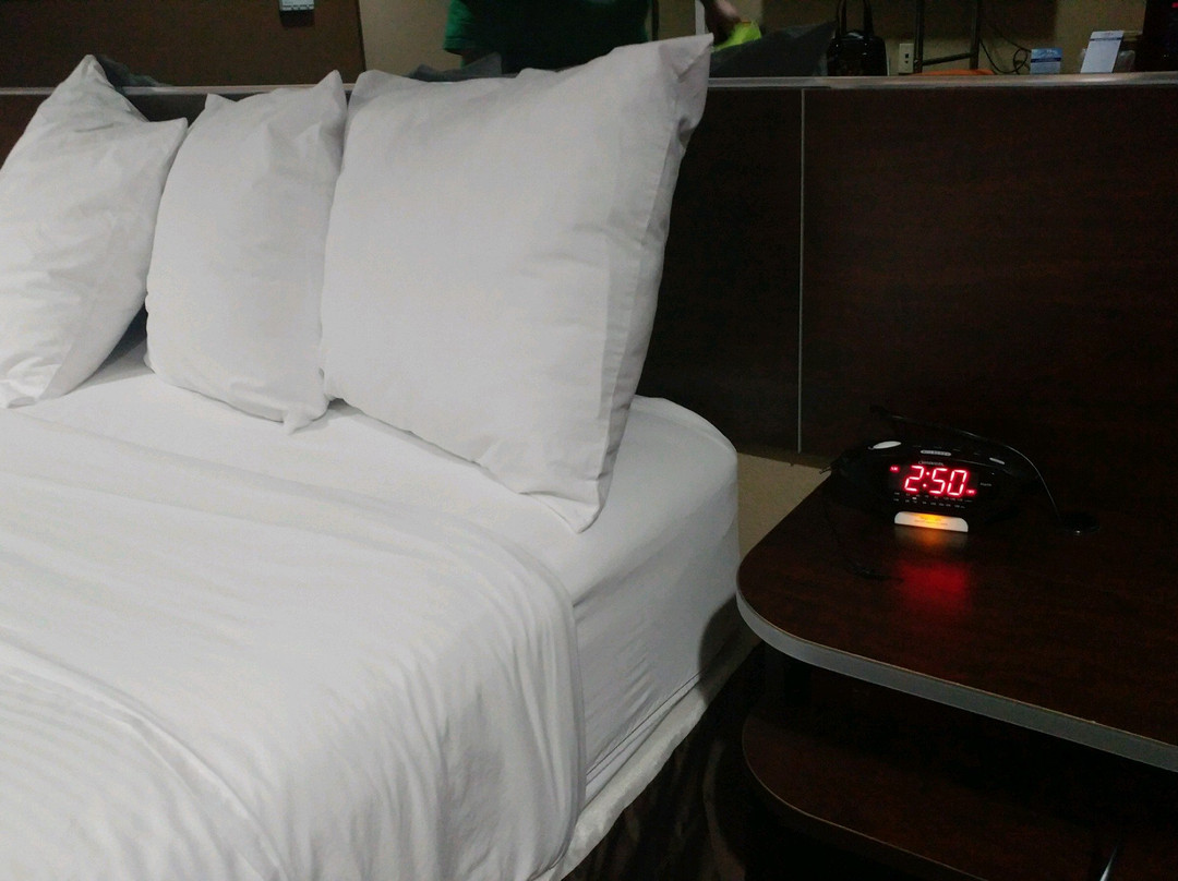 Microtel Inn & Suites by Wyndham North Canton主图