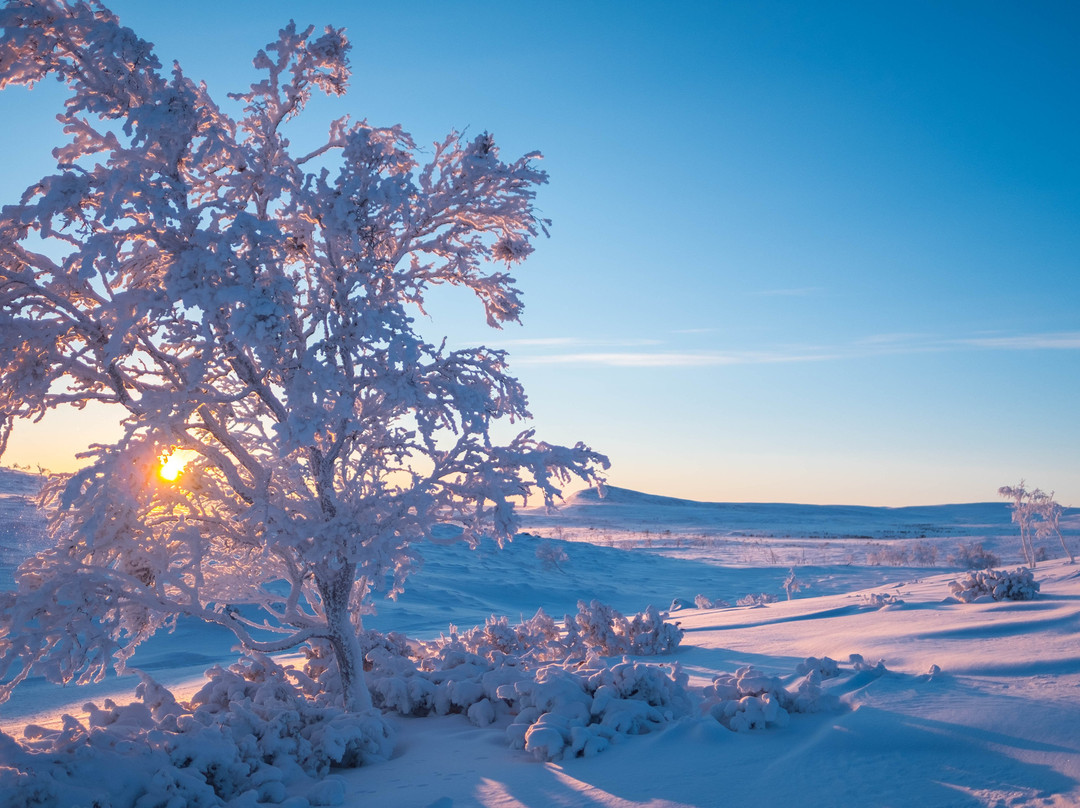Kaldoaivi Wilderness Area