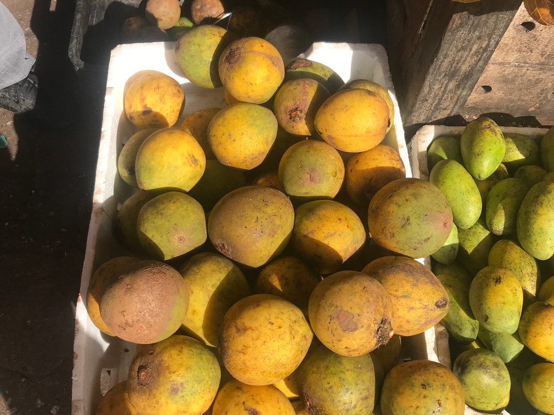 Mercado Ver-o-Peso-贝伦必去景点