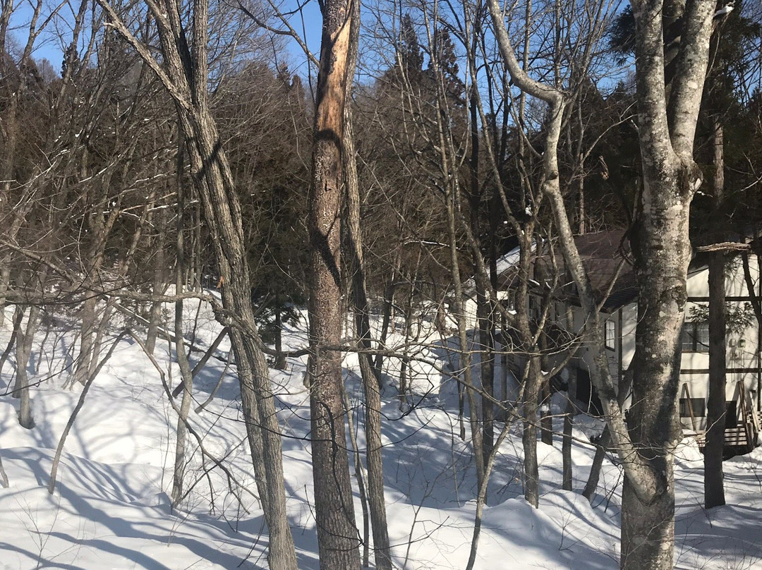 白马村高山流水酒店主图