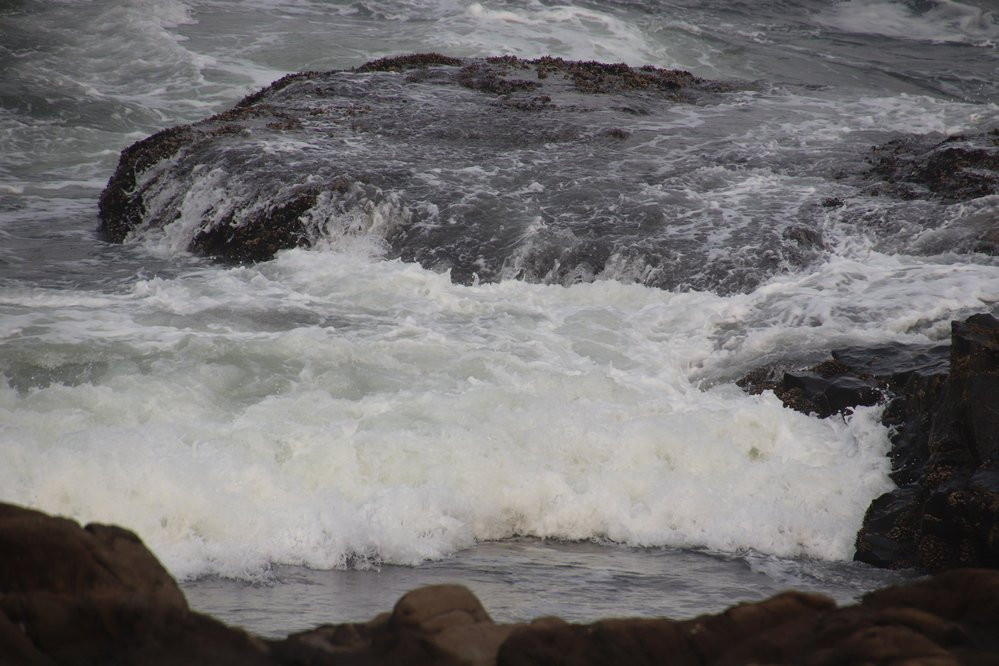 Smelt Sands State Park-亚查茨必去景点