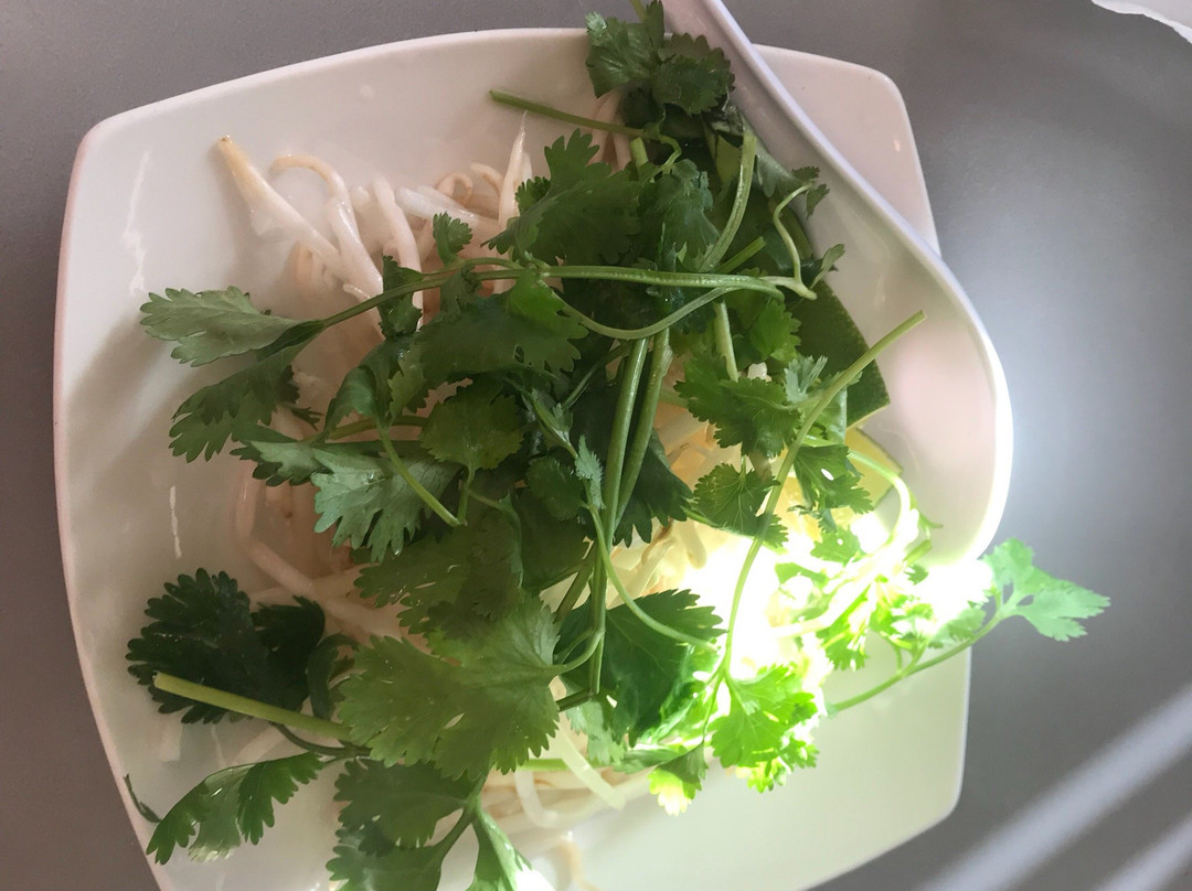 Pima餐馆和美食-Pho Saigon