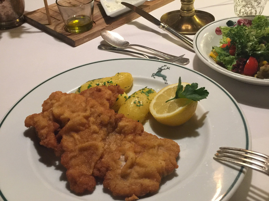 Almtalhof Hotel主图