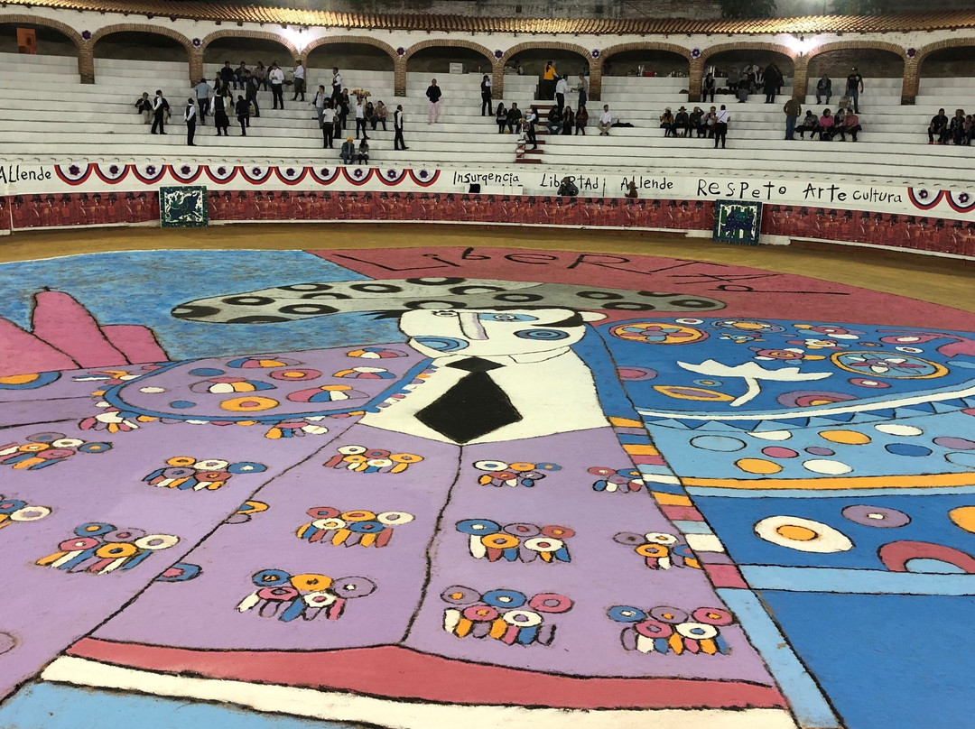 Arte Divino-圣米格尔护城必去景点