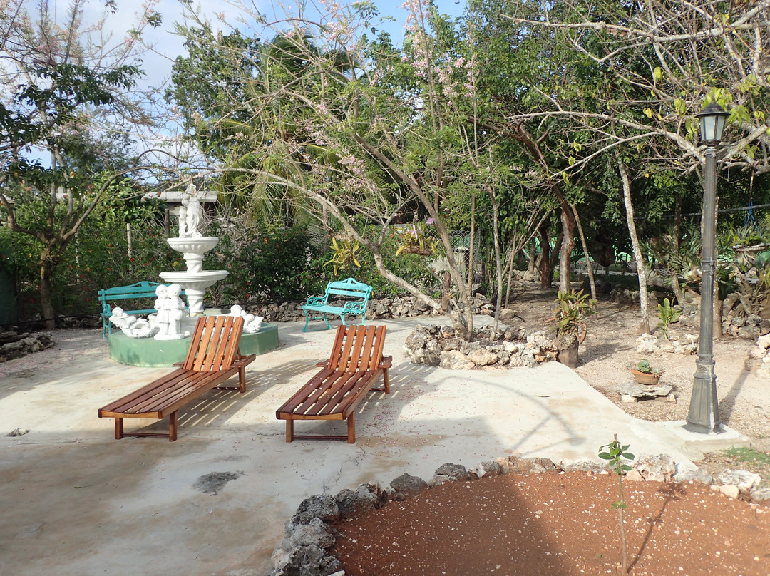 Ivette and Niñito's Casa Particular主图