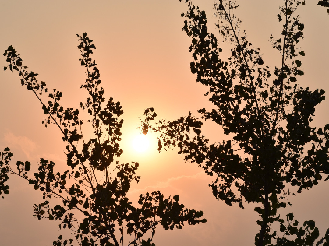 Rajwada Farms-法里达巴德必去景点